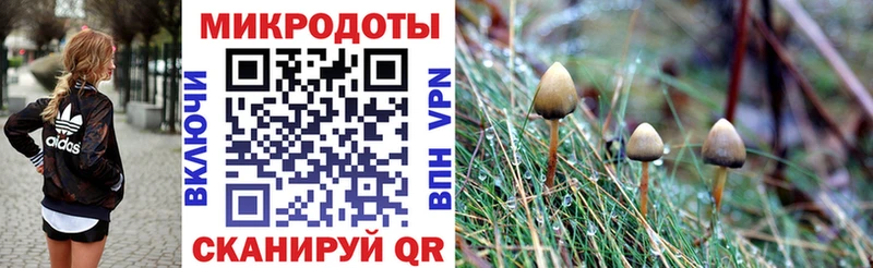 Галлюциногенные грибы MAGIC MUSHROOMS Мосальск